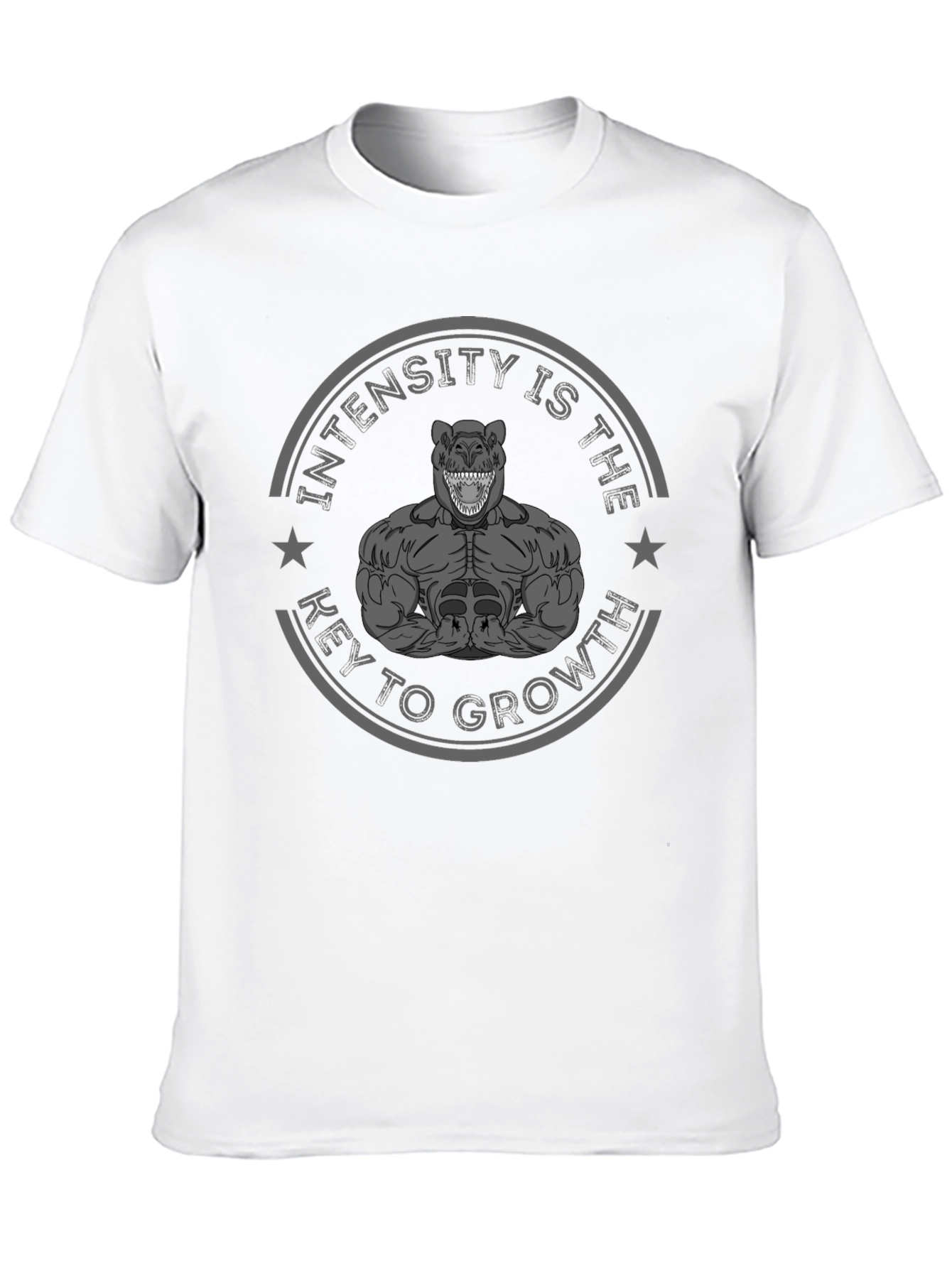 Intensity is Key Mens Graphic T-Shirt