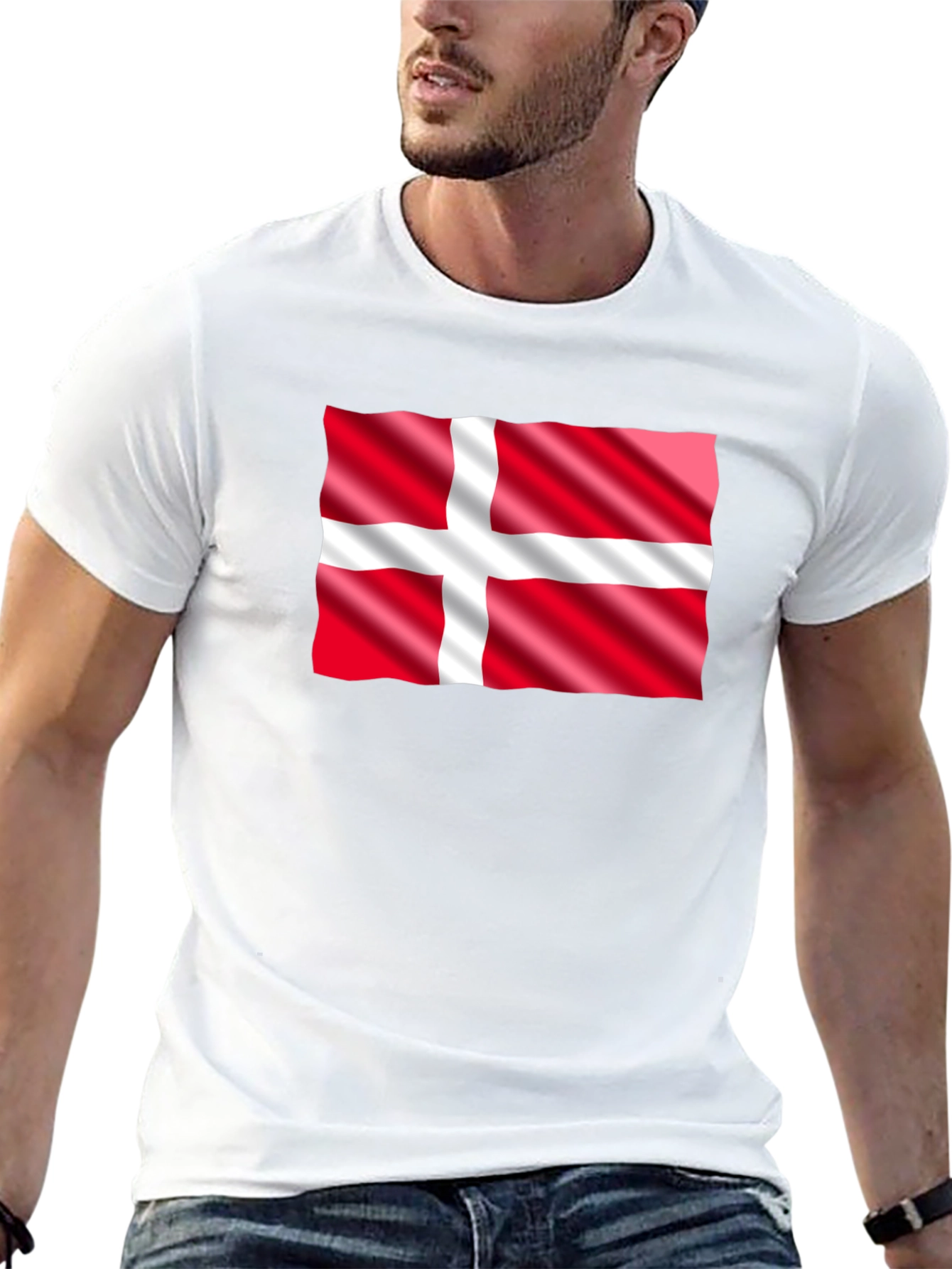 Denmark Flag Graphic T-Shirt