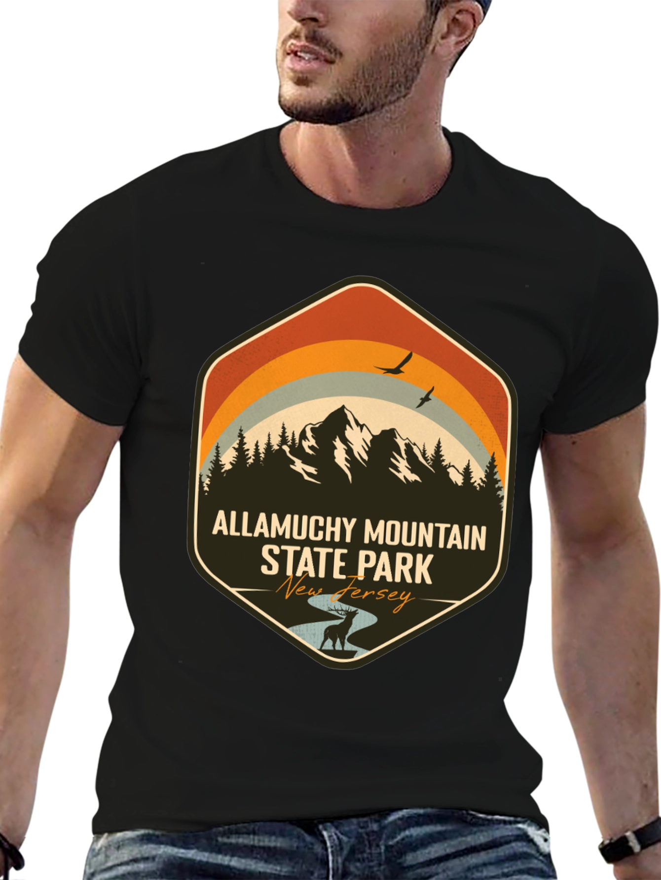 Allamuchy Mountain State Park Graphic Tee