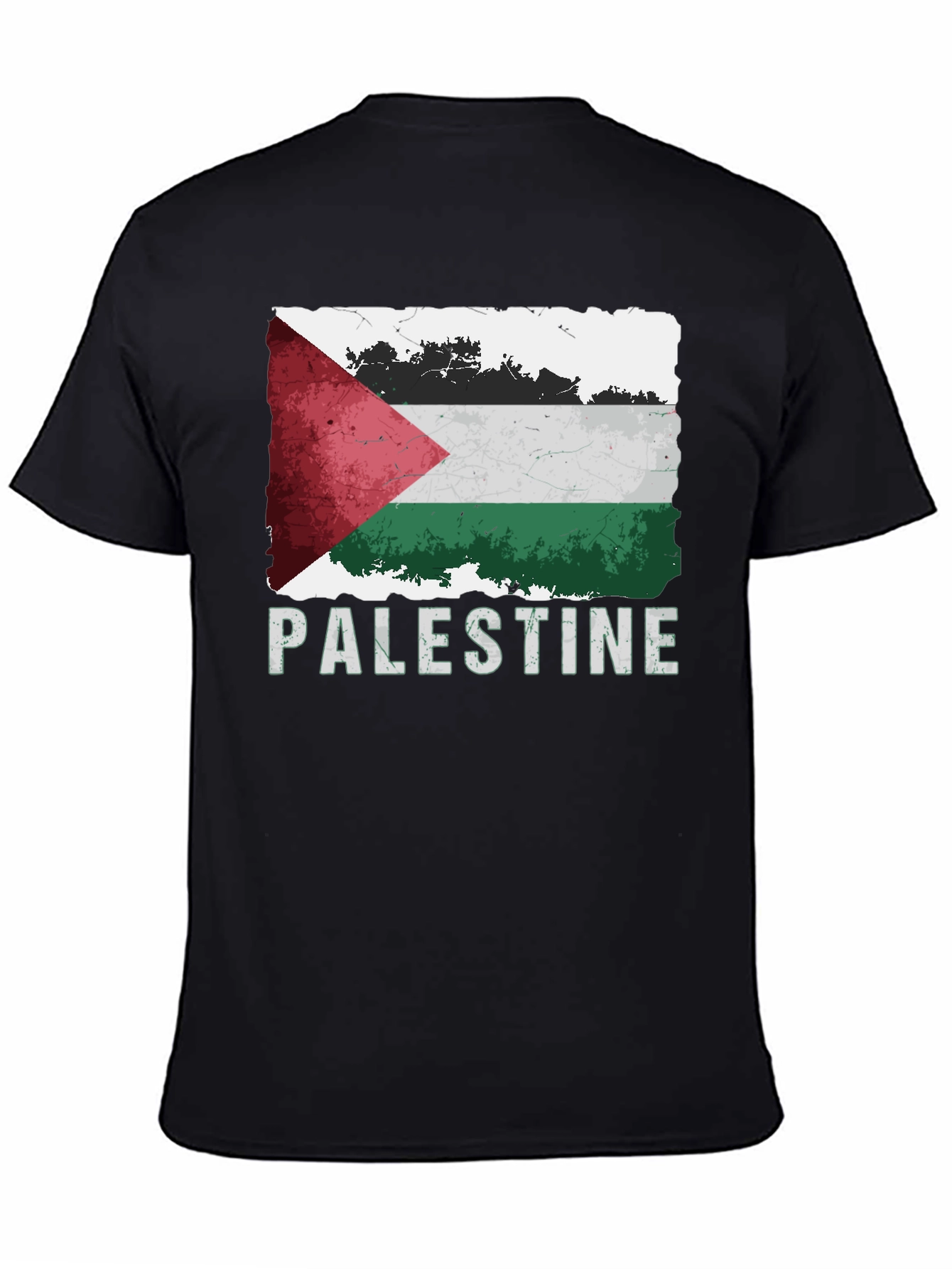 Palestine Flag Graphic T-Shirt