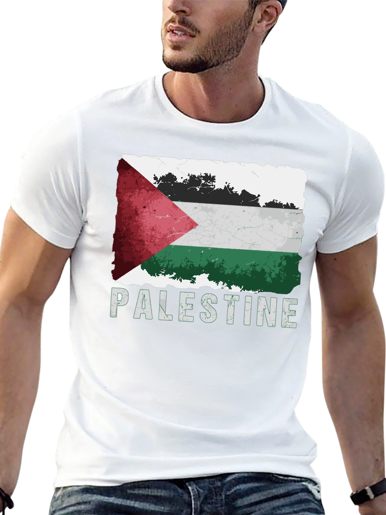 Palestine Flag Graphic T-Shirt
