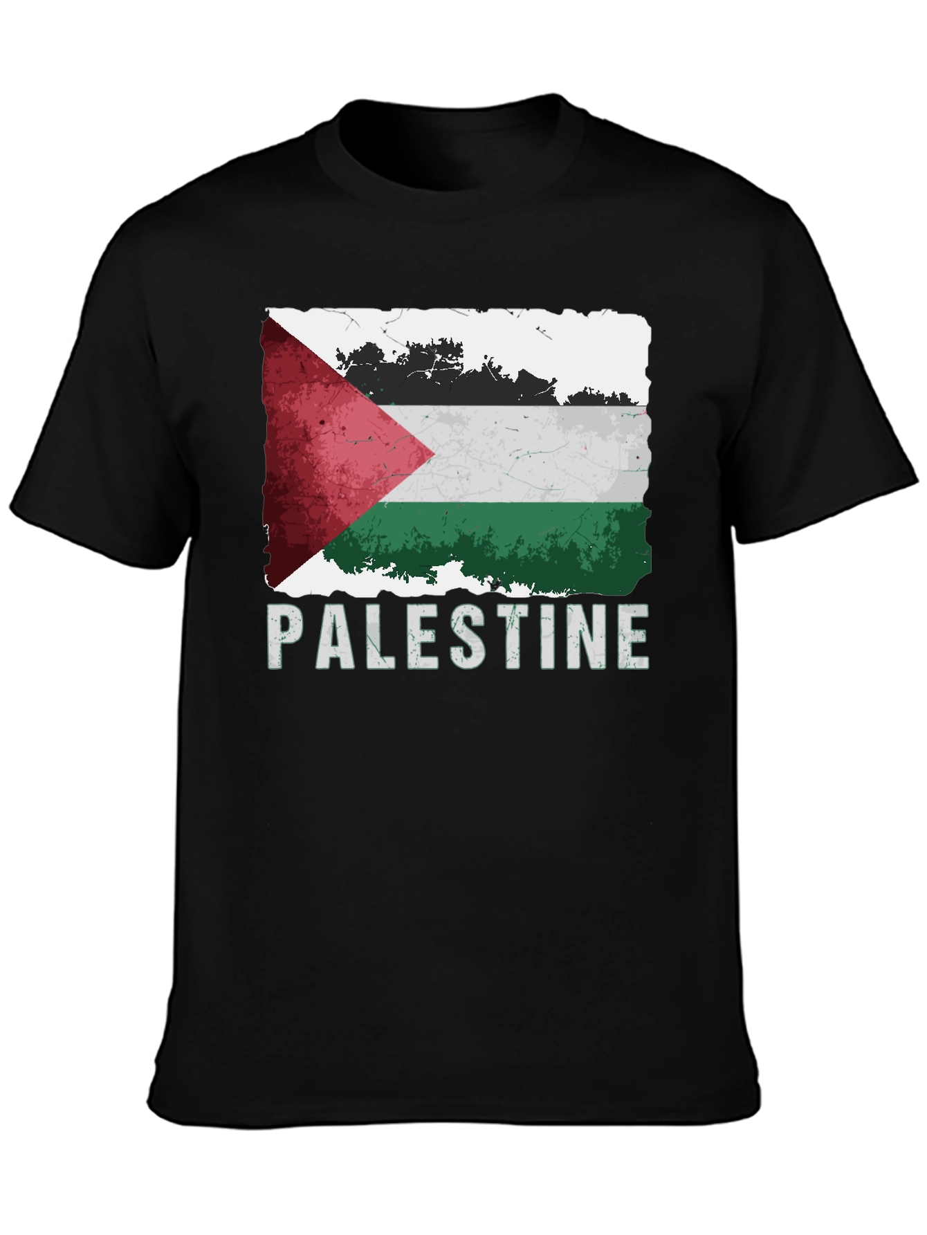 Palestine Flag Graphic T-Shirt