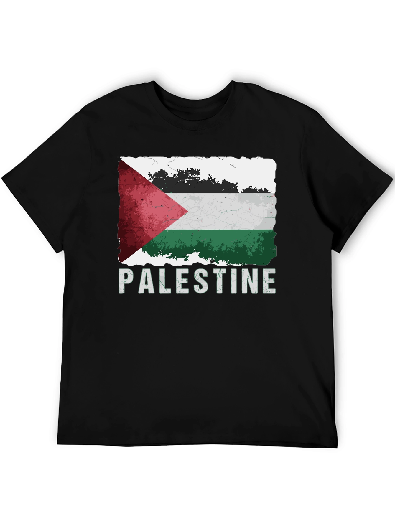 Palestine Flag Graphic T-Shirt