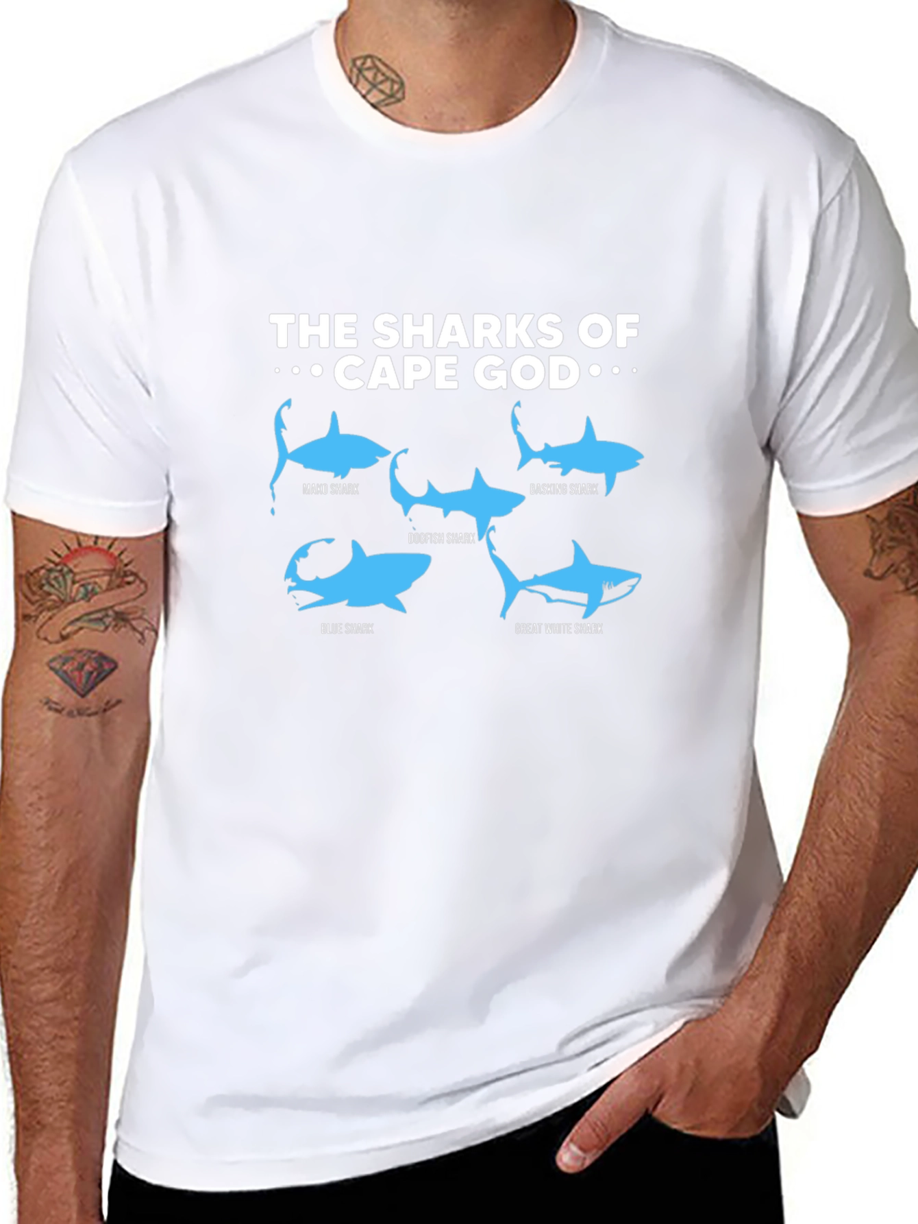 Cape Cod Sharks Graphic T-Shirt - Shark Species Tee