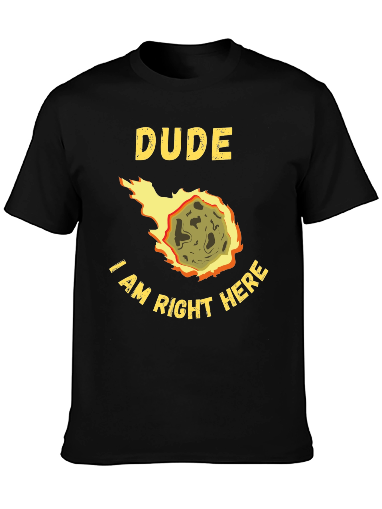 Dude I Am Right Here Meteor T-Shirt