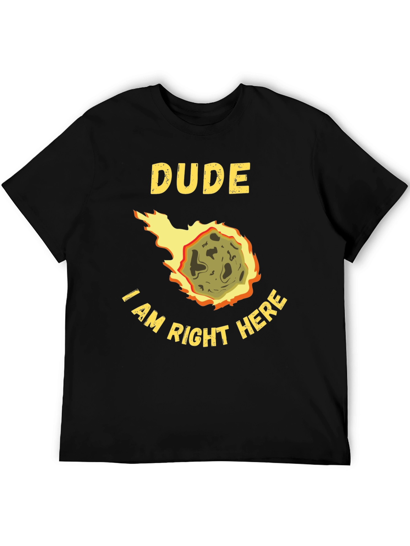 Dude I Am Right Here Meteor T-Shirt