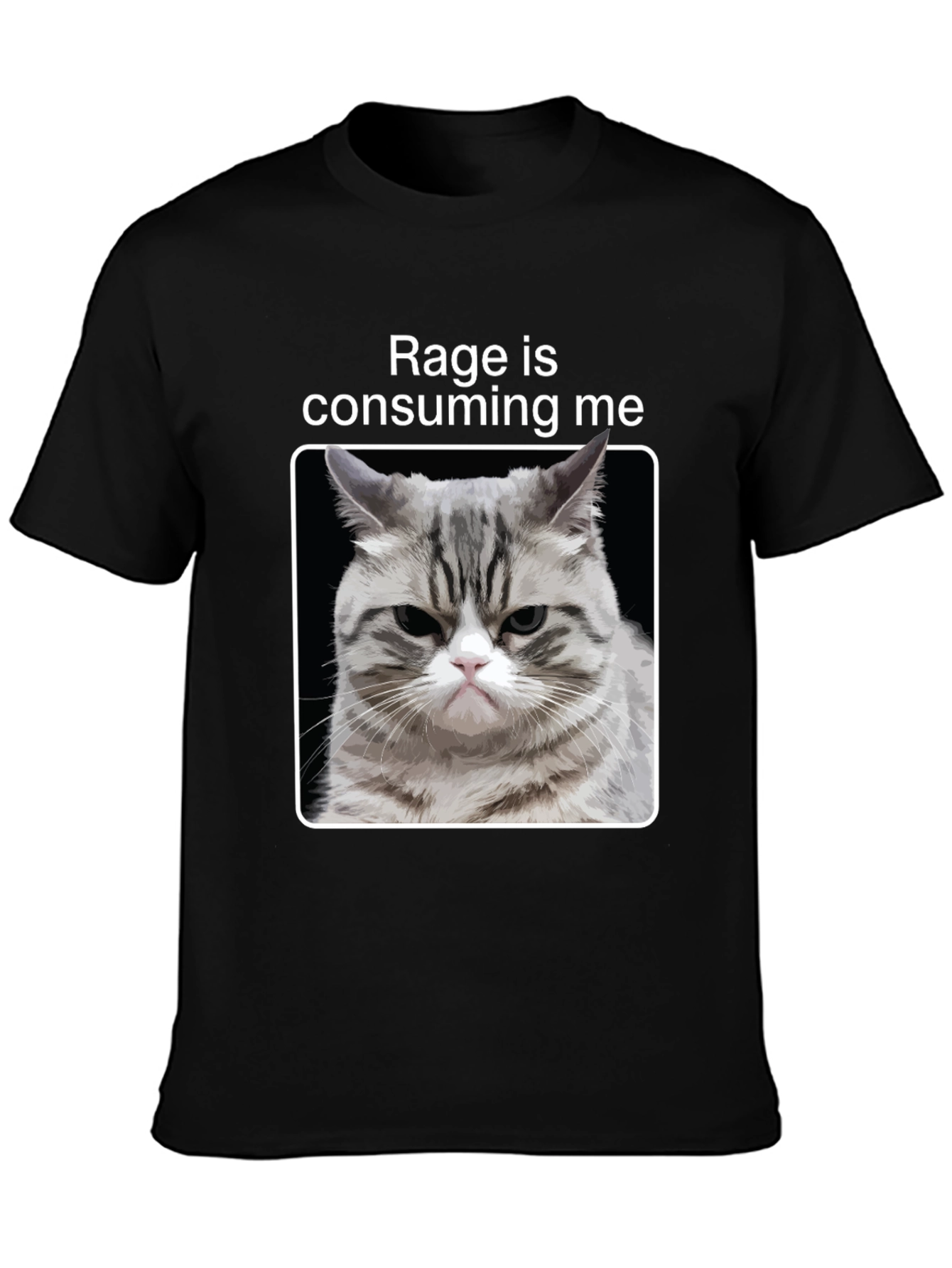 Rage Cat Graphic T-Shirt - Funny Kitten Tee